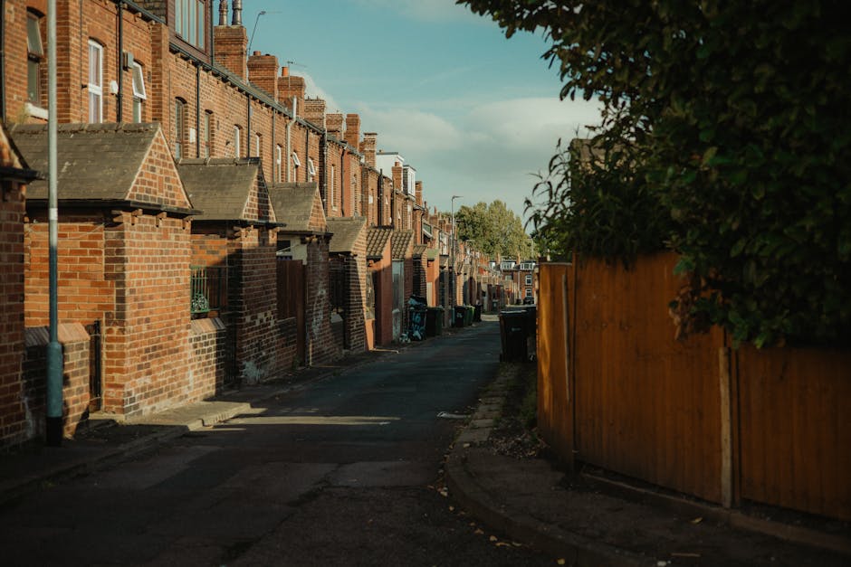 Bellenden Road estate bulky rubbish removal guide